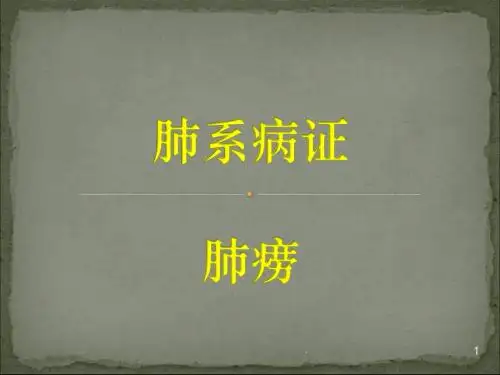 肺系肺痨ppt演示课件