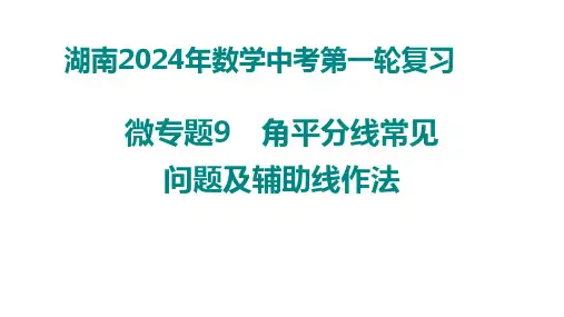 湖南省2024年数学中考第一轮复习微专题9 角平分线常见问题及辅助线作法课件