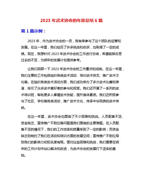 2023年武术协会的年度总结6篇