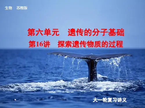 2014届高考(苏教版)生物大一轮课件：第16讲 探索遗传物质的过程(共108张PPT)