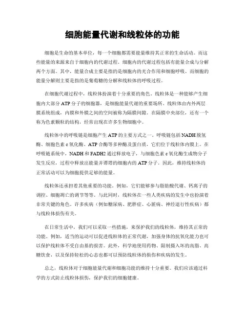 细胞能量代谢和线粒体的功能