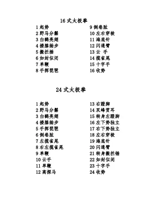 16式太极、24式太极拳、咏春小念头名称