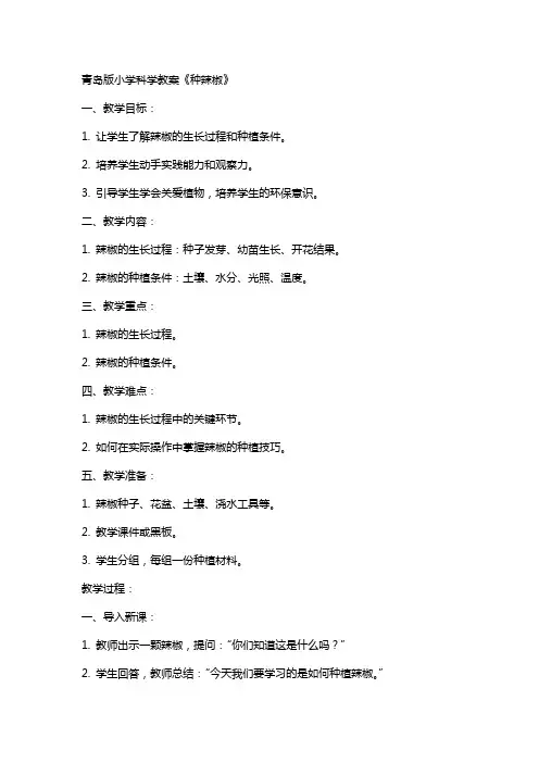 青岛版小学科学教案《种辣椒》