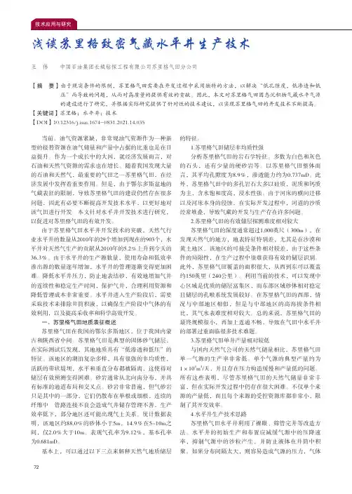 浅谈苏里格致密气藏水平井生产技术