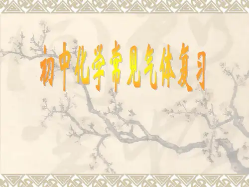 初中化学常见气体2