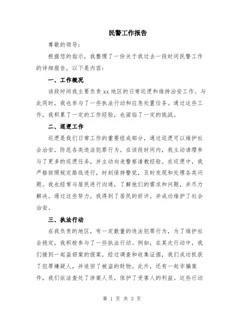 民警工作报告