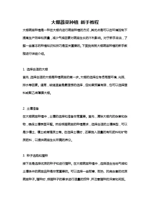 大棚蔬菜种植 新手教程
