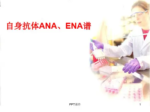 自身抗体  ppt课件