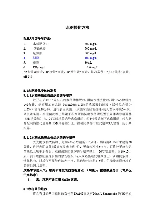 水稻转化方法
