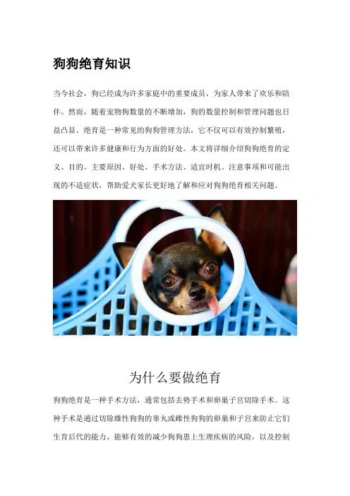 狗狗绝育知识