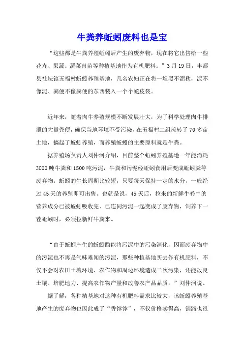 牛粪养蚯蚓 废料也是宝