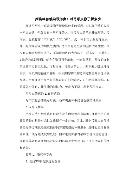 养猫咪会感染弓形虫？对弓形虫你了解多少