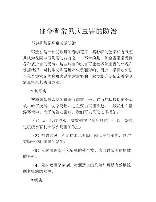 郁金香常见病虫害的防治