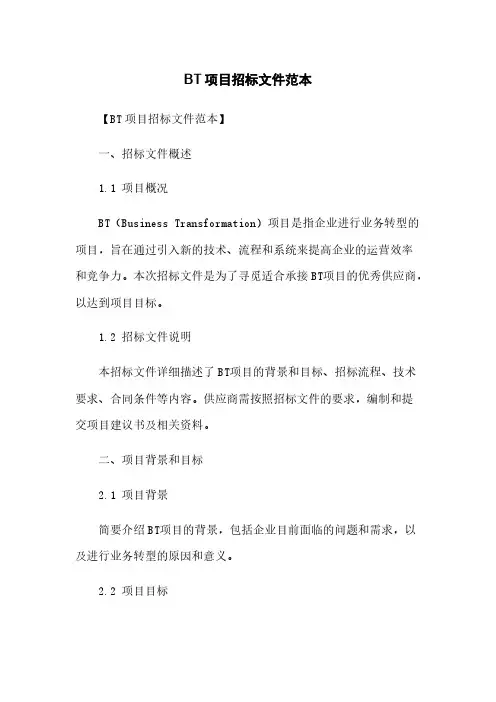 BT项目招标文件范本