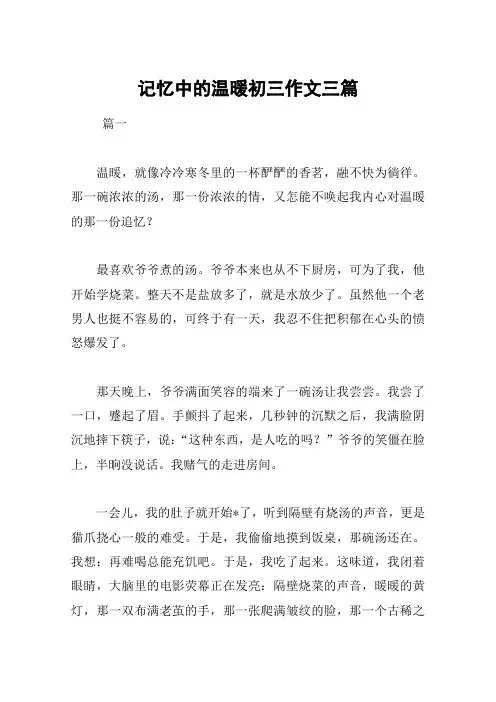 记忆中的温暖初三作文三篇