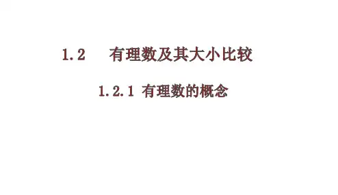 1.2.1 有理数的概念+课件++2024--2025学年人教版七年级数学上册