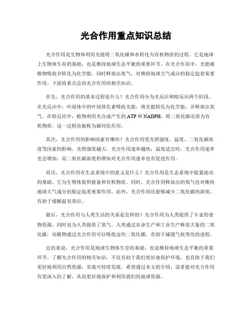 光合作用重点知识总结