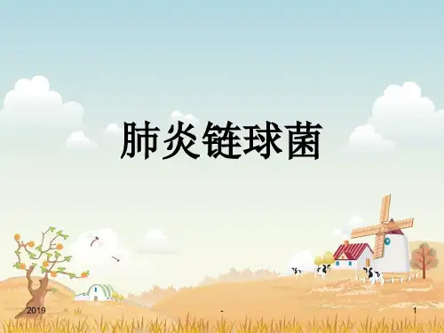 肺炎链球菌ppt课件