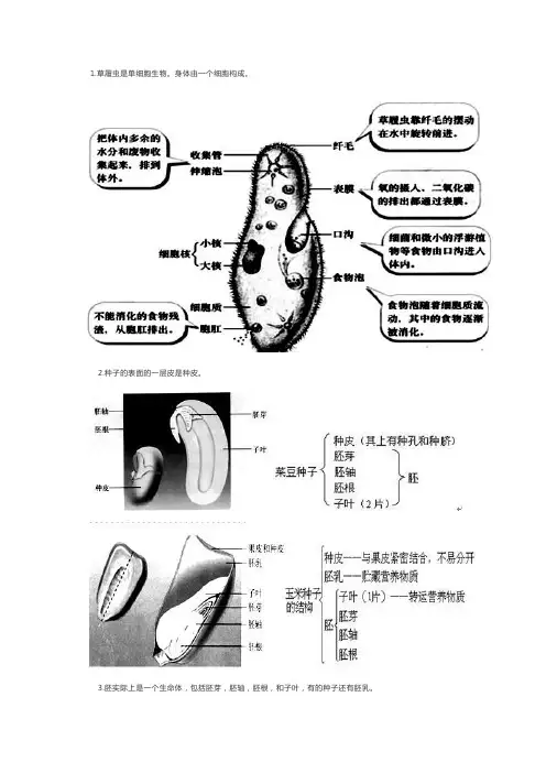 中考生物总复习之初中生物图集(二)