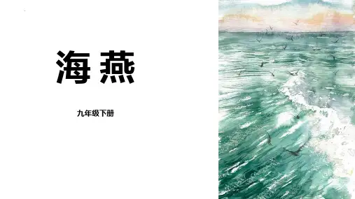 新人教部编版初中语文九年级下册《海燕》优质教学课件