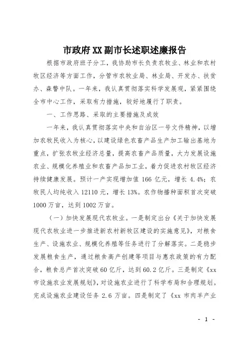 市政府XX副市长述职述廉报告