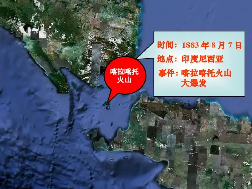 第四章 第四节--群落的演替PPT精品文档52页