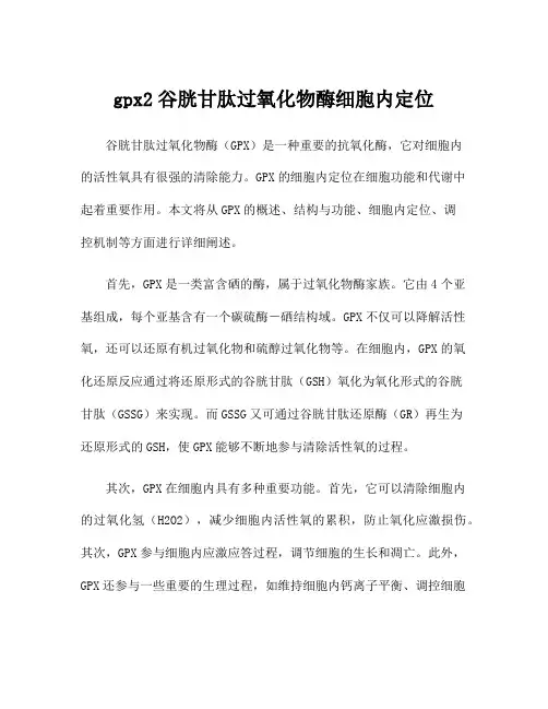 gpx2谷胱甘肽过氧化物酶细胞内定位