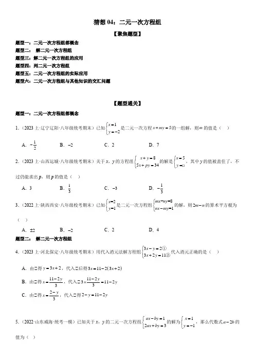 猜想04二元一次方程组(易错必刷30题6种题型)原卷版