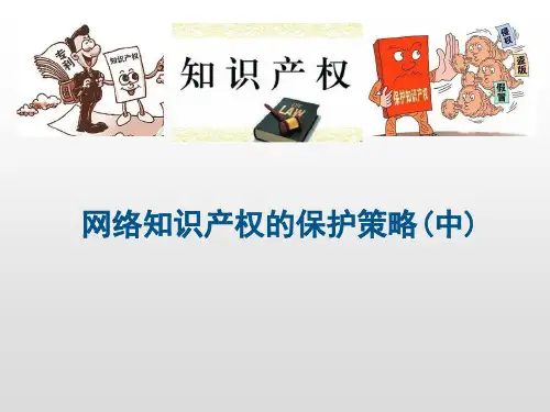 新时代知识产权创新发展与严格保护(中)