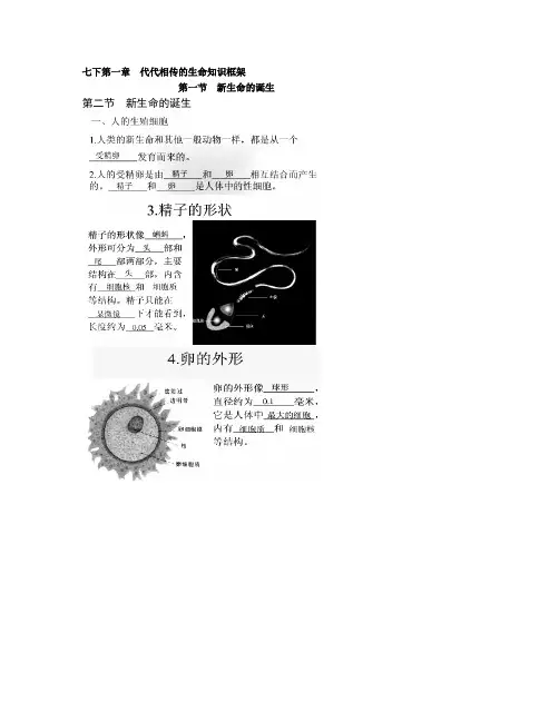 浙教版新版七下第一章知识点总结1