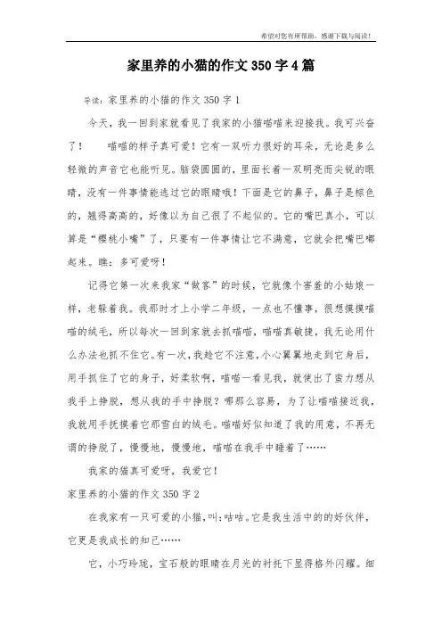 家里养的小猫的作文350字4篇