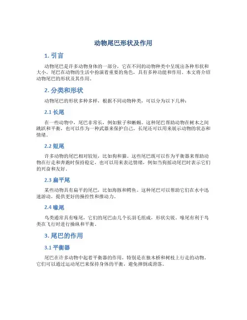 动物尾巴形状及作用