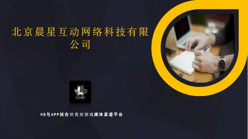 手游商业计划书