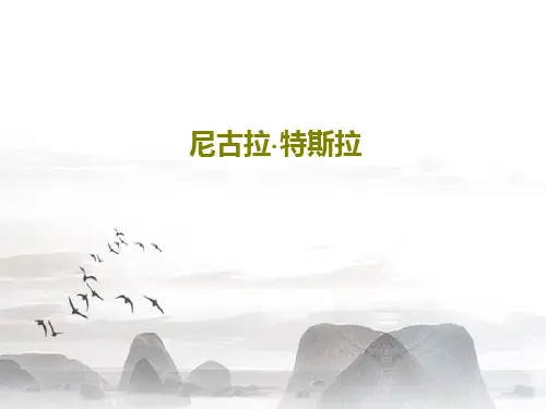 尼古拉·特斯拉共20页