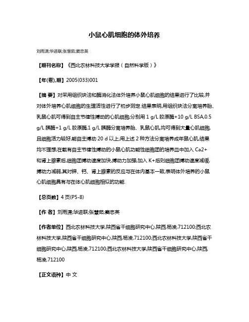 小鼠心肌细胞的体外培养