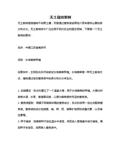 无土栽培案例
