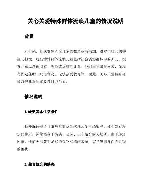 关心关爱特殊群体流浪儿童的情况说明