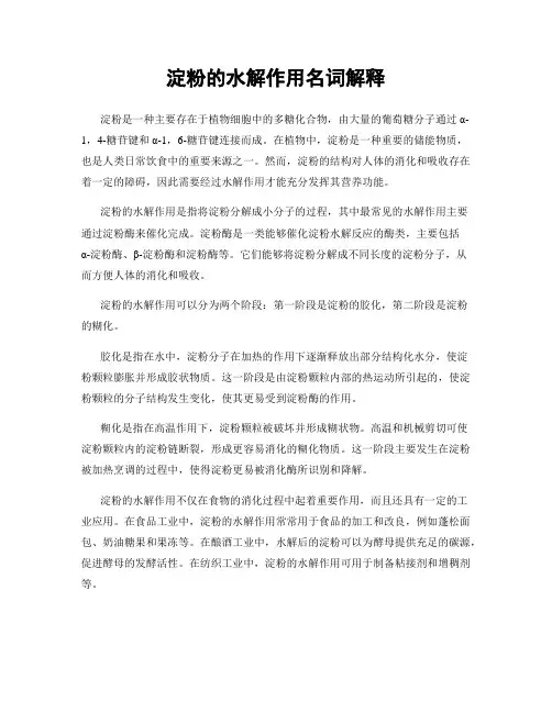 淀粉的水解作用名词解释