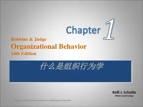 组织行为学robbins_ob14_ppt_06 (14)
