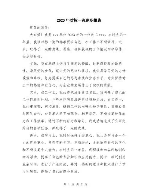 2023年对标一流述职报告