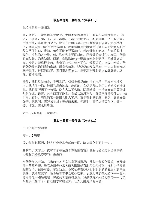 我心中的那一缕阳光_700字