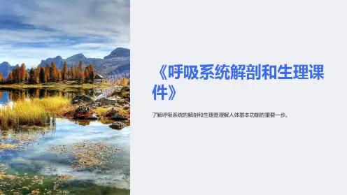《呼吸系统解剖和生理课件》