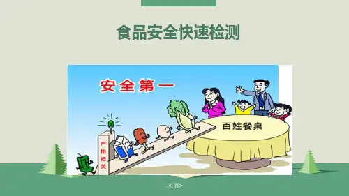 食品快速检测培训讲义ppt课件