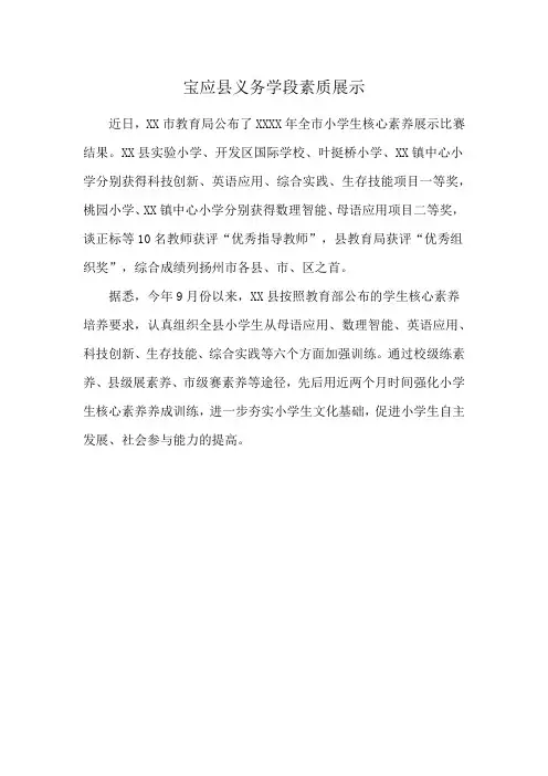 宝应县义务学段素质展示
