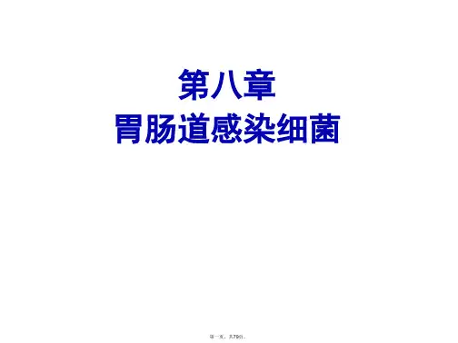 胃肠道感染细菌