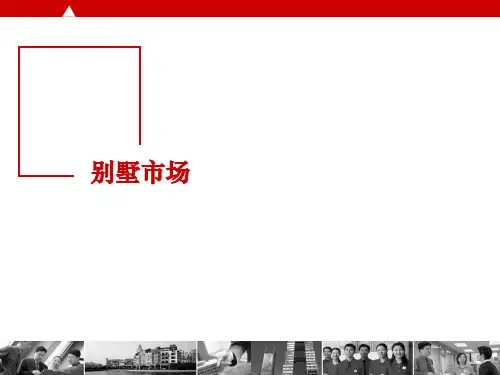 世联地产大连别墅市场分析报告