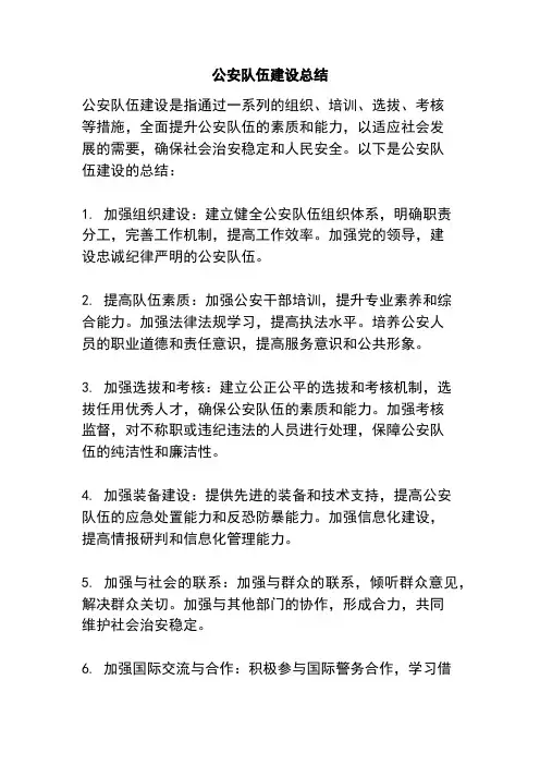 公安队伍建设总结