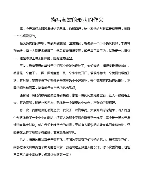 描写海螺的形状的作文