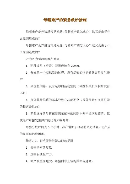 母猪难产的紧急救治措施