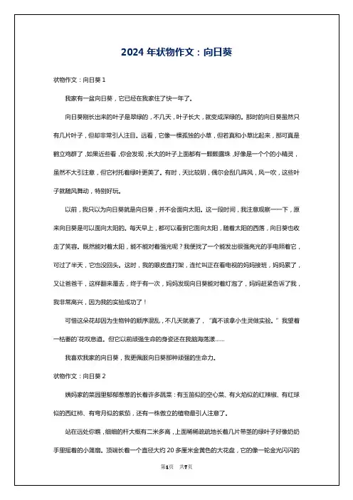 2024年状物作文：向日葵
